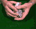 petite_donne.gif (79306 octets)