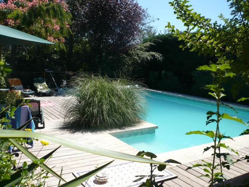 piscine_06.JPG (294860 octets)