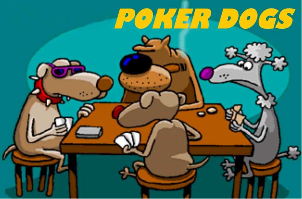 image_poker_18.jpg (83057 octets)