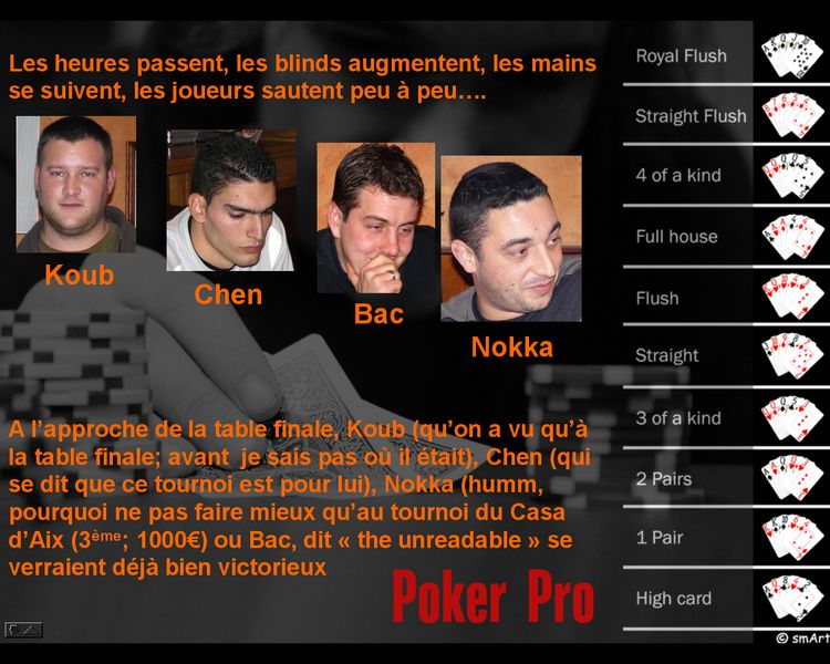 2007_12_15_Chambery_cardo_007.jpg (98295 octets)